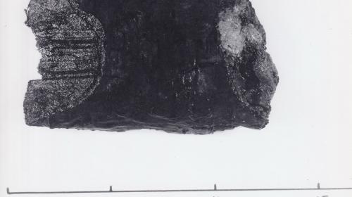 Foto von Pfahlfragment