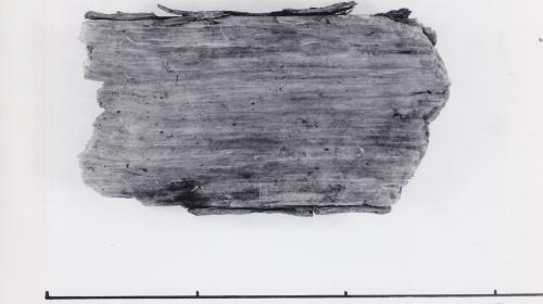 Foto von Pfahlfragment