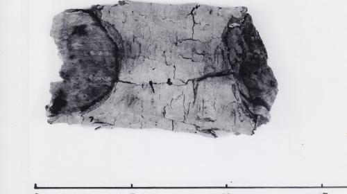 Foto von Pfahlfragment