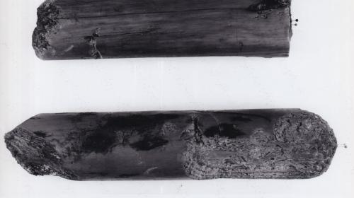 Foto von Pfahlfragmenten