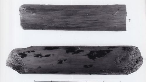 Foto von Pfahlfragmenten