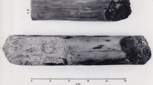 Foto von Pfahlfragmenten