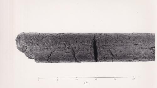 Foto von Pfahlfragment