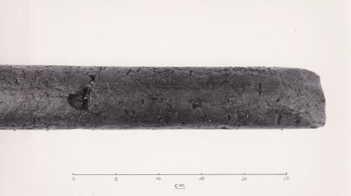 Foto von Pfahlfragment