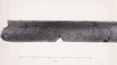 Foto von Pfahlfragment