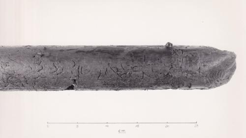 Foto von Pfahlfragment