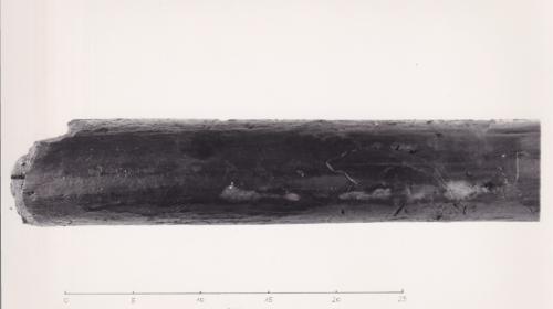 Foto von Pfahlfragment