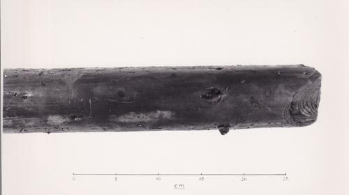 Foto von Pfahlfragment