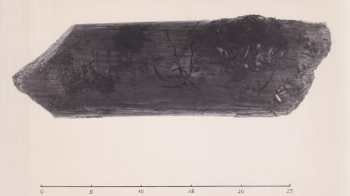 Foto von Pfahlfragment