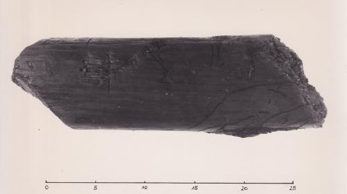 Foto von Pfahlfragment