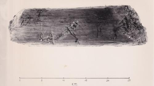 Foto von Pfahlfragment