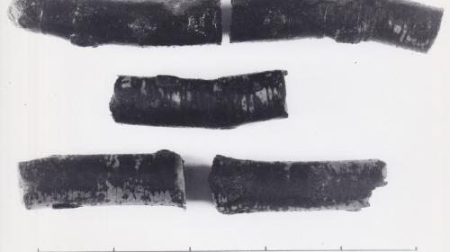 Foto von Pfahlfragmenten