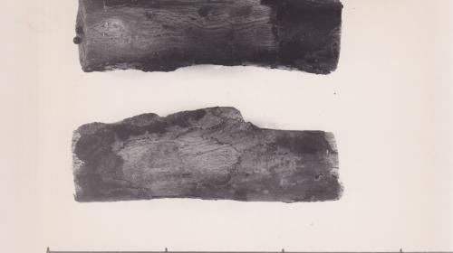 Foto von Pfahlfragmenten