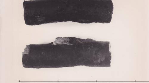 Foto von Pfahlfragment