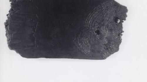 Foto von Pfahlfragment