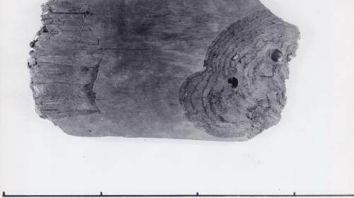 Foto von Pfahlfragment