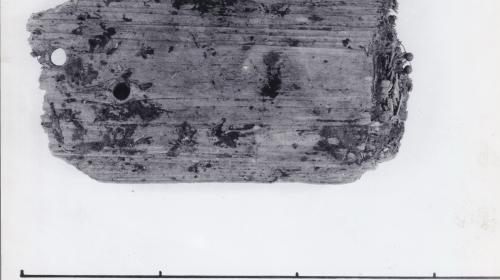 Foto von Pfahlfragment