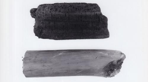 Foto von Pfahlfragmenten