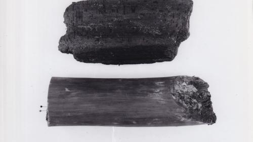 Foto von Pfahlfragmenten