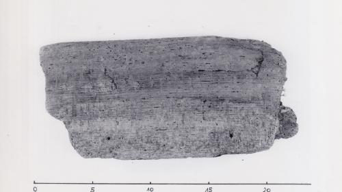 Foto von Pfahlfragment