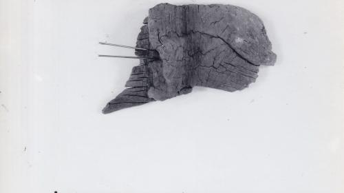 Foto von Holzfragment