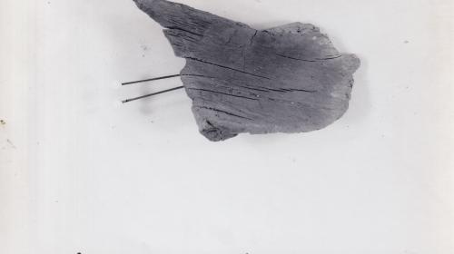 Foto von Holzfragment