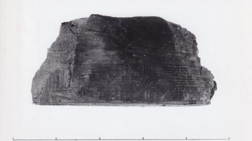 Foto von Holzfragment