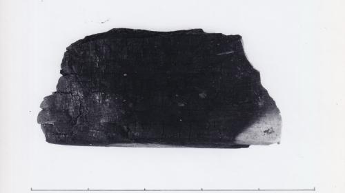 Foto von Holzfragment