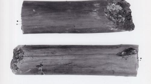 Foto von Pfahlfragmenten