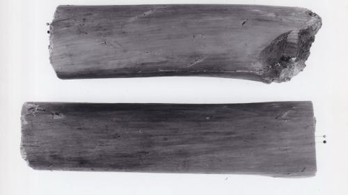 Foto von Pfahlfragmenten