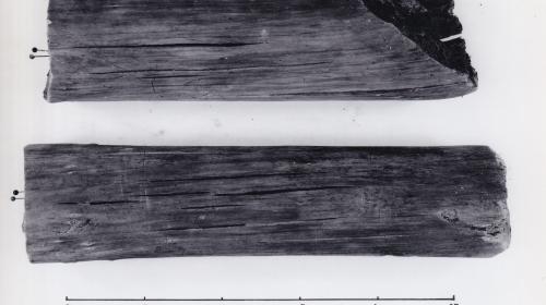 Foto von Pfahlfragmenten