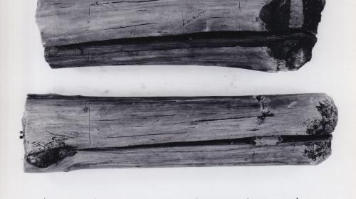 Foto von Pfahlfragmenten