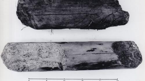 Foto von Pfahlfragmenten