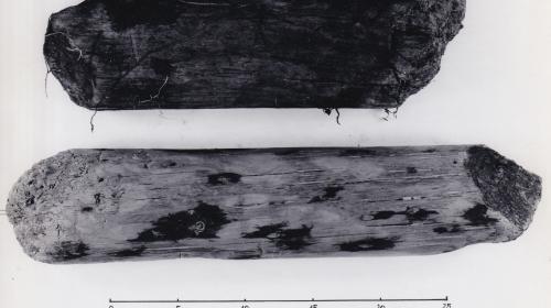 Foto von Pfahlfragmenten