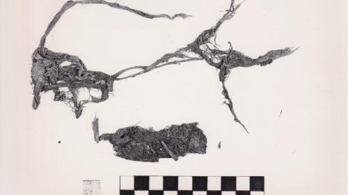 Foto von Textilresten