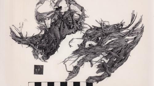 Foto von Textilresten