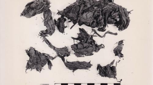 Foto von Textilresten