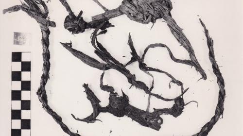 Foto von Textilresten