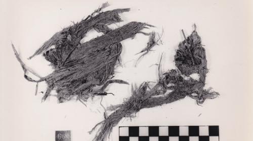 Foto von Textilresten