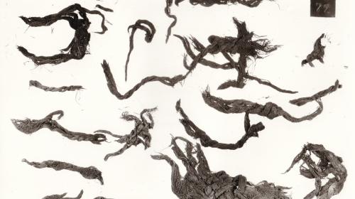 Foto von Textilresten