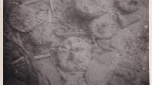 Unterwasserfoto Weyregg I