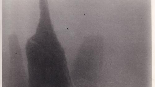 Unterwasserfoto Attersee