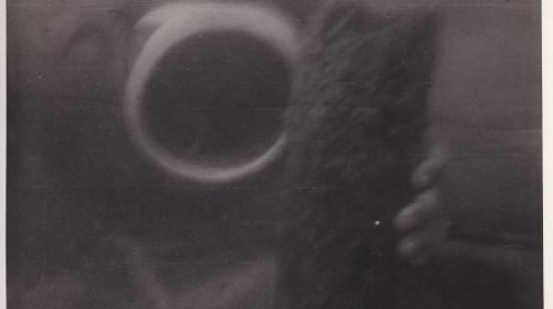 Unterwasseraufnahme am Attersee