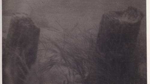 Unterwasseraufnahme am Attersee