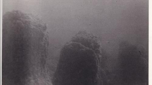 Unterwasseraufnahme am Attersee