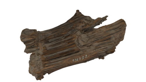 NHM14392 Pfahl