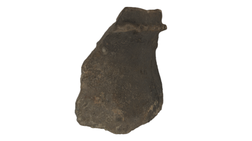 NHM37572