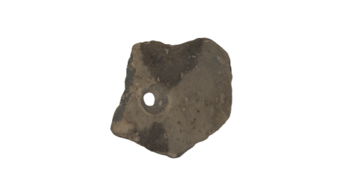 NHM1665