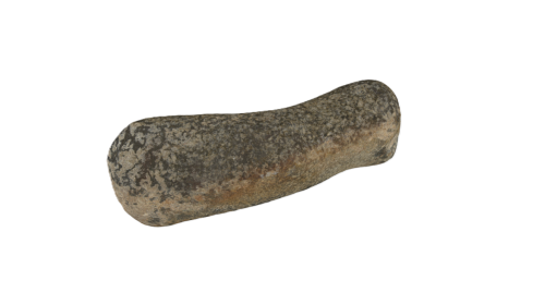 NHM37481